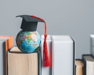 International Business Programs