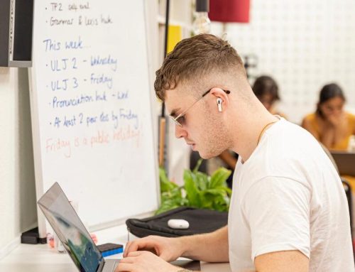 How To Start Your Online TEFL Business